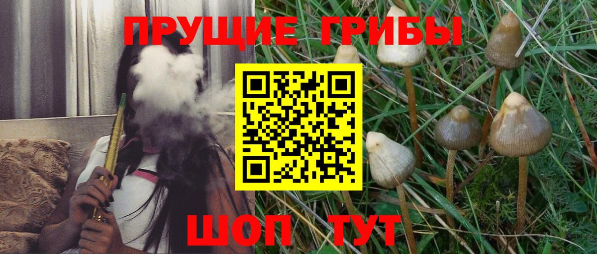 Губкинский  Псилоцибиновые грибы Cubensis  Псилоцибиновые грибы Psilocybe  закладка  Вход с VPN 